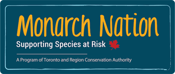 Monarch Nation Species At Risk – Free Programs for K-8