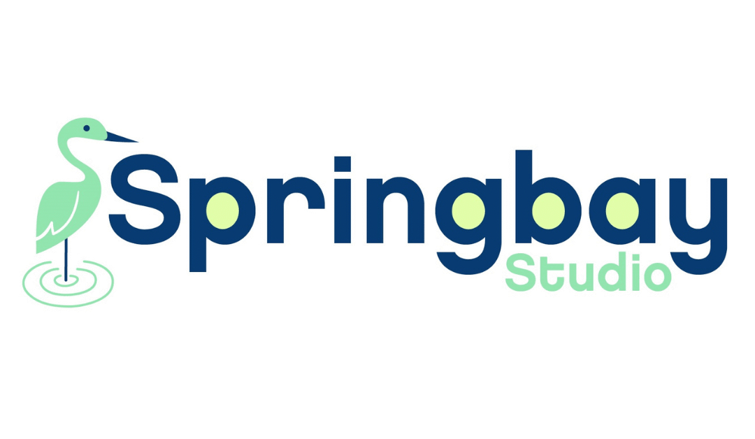 Empowering Environmental Education through Playful Learning: The Story of New dHL Expert Springbay Studio